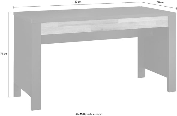 Birou Dallas gri grafit cu design minimalist 140 cm lățime - LunaHome.ro