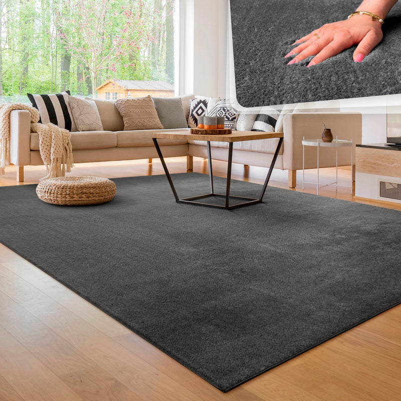 Covor Cadiz Paco Home cu fire scurte gri 140x200 cm - LunaHome.ro