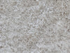Covor »Lagos 2« foarte moale si pufos crem 80x150 cm - LunaHome.ro