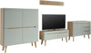 Set mobilier living Torge cu aspect scandinav fistic