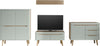 Set mobilier living Torge cu aspect scandinav fistic