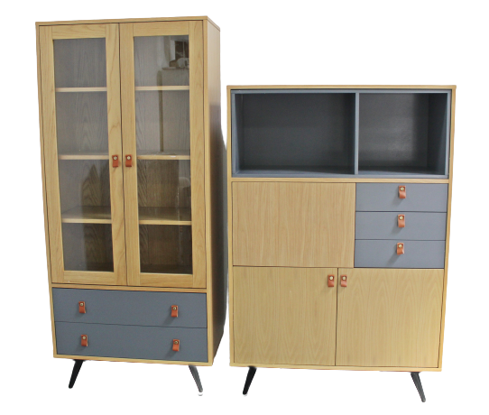 Set mobilier living LEON (2 piese)