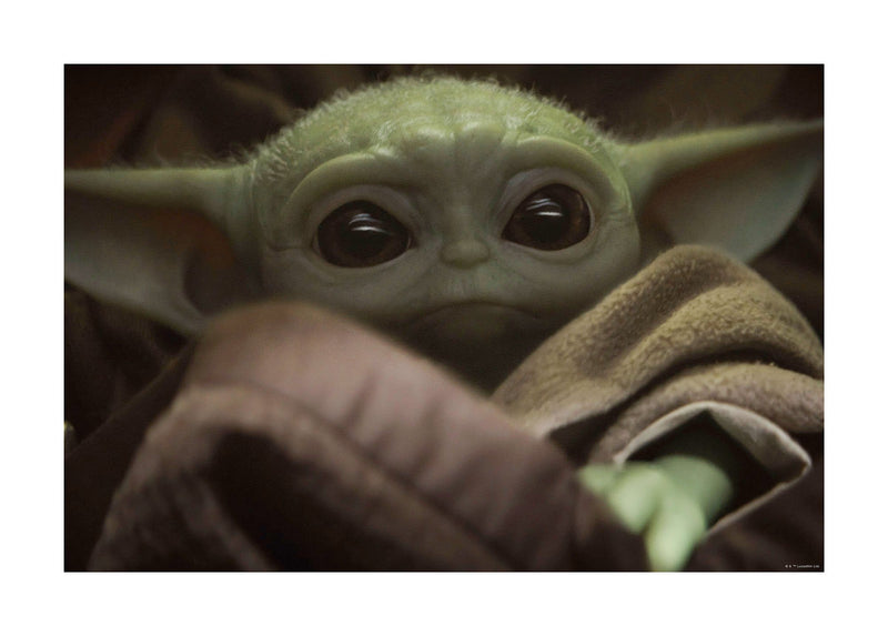 Tablou  The Cute Face, Disney, Star Wars