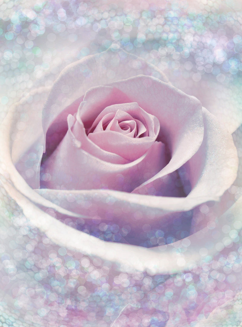 Fototapet Delicate Rose - LunaHome.ro