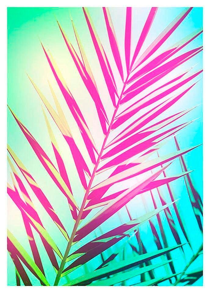 Poster KOMAR XXL - LunaHome.ro