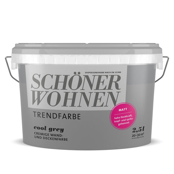 Vopsea Schoner Wohnen, Cool Grey