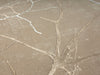 Covor »Creation 50055« cu model 3D, elegant, bej 120x170 cm - LunaHome.ro
