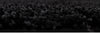 Covor shaggy Viva negru, potrivit pentru încălzire prin pardoseală, 120x180 cm - LunaHome.ro
